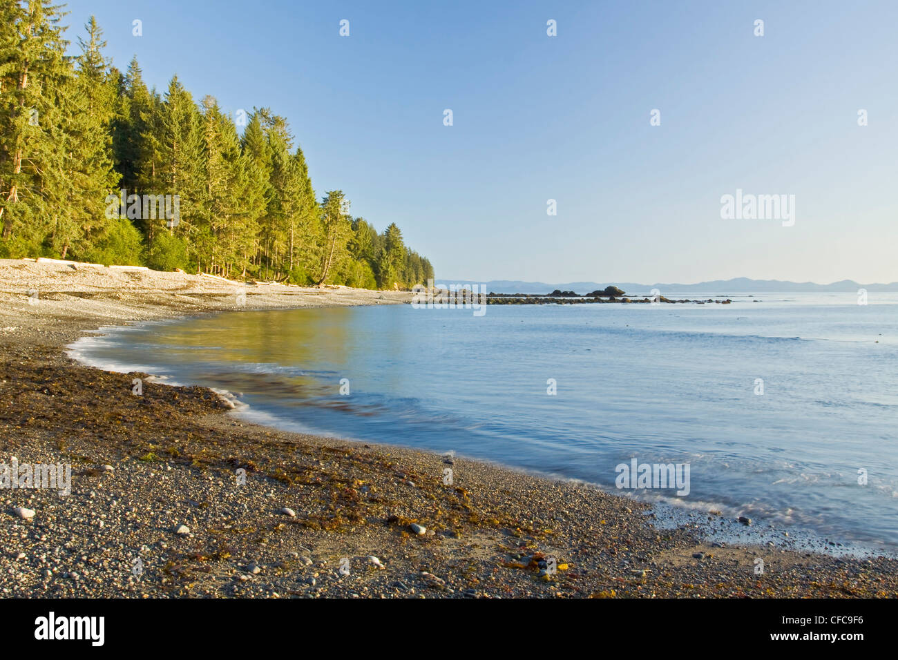 A landscape image of Sombrio Beach on Vancouver Island, BC, Canada. Stock Photo
