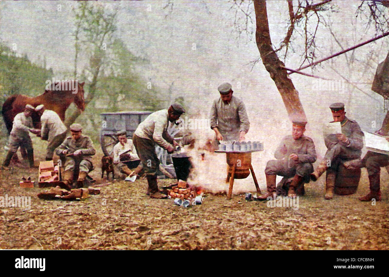 group, German, soldiers, army, military, horse, dog, camp, forest, Postcard, cooking, army, field kitchen Stock Photo