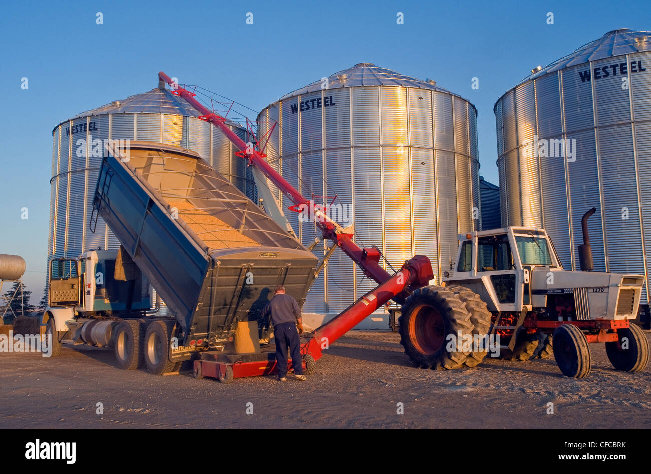 storing soybeans in a grain storage bin, near Lorette, Manitoba, Canada Stock Photo Alamy
