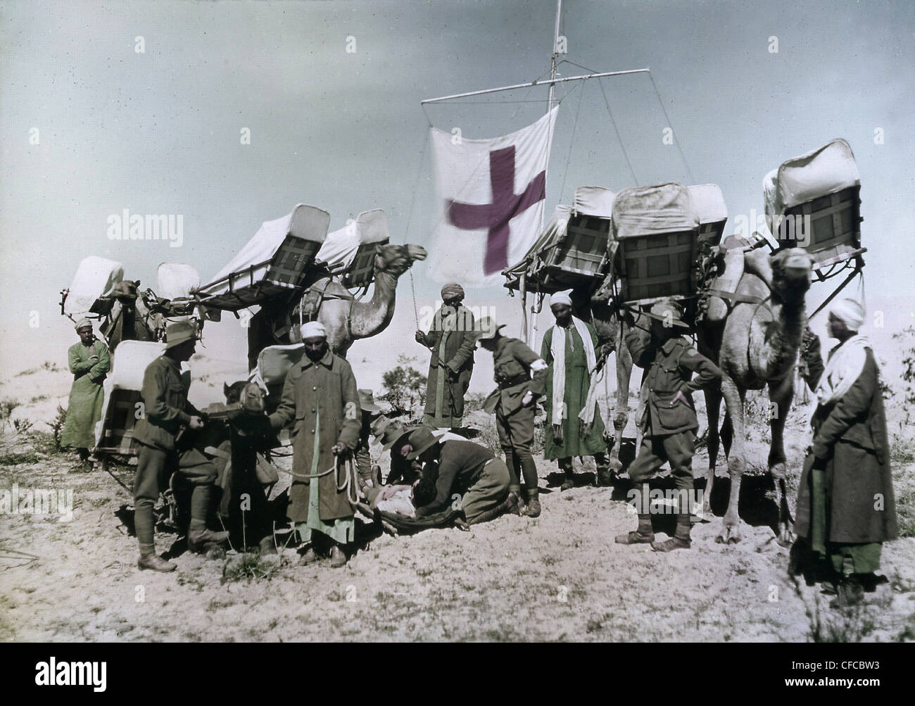camel, ambulances, Imperial Camel Corps, Rafa, Ottoman Empire, Red Cross, Middle East, World War I, War, World War, 1914-1918, E Stock Photo