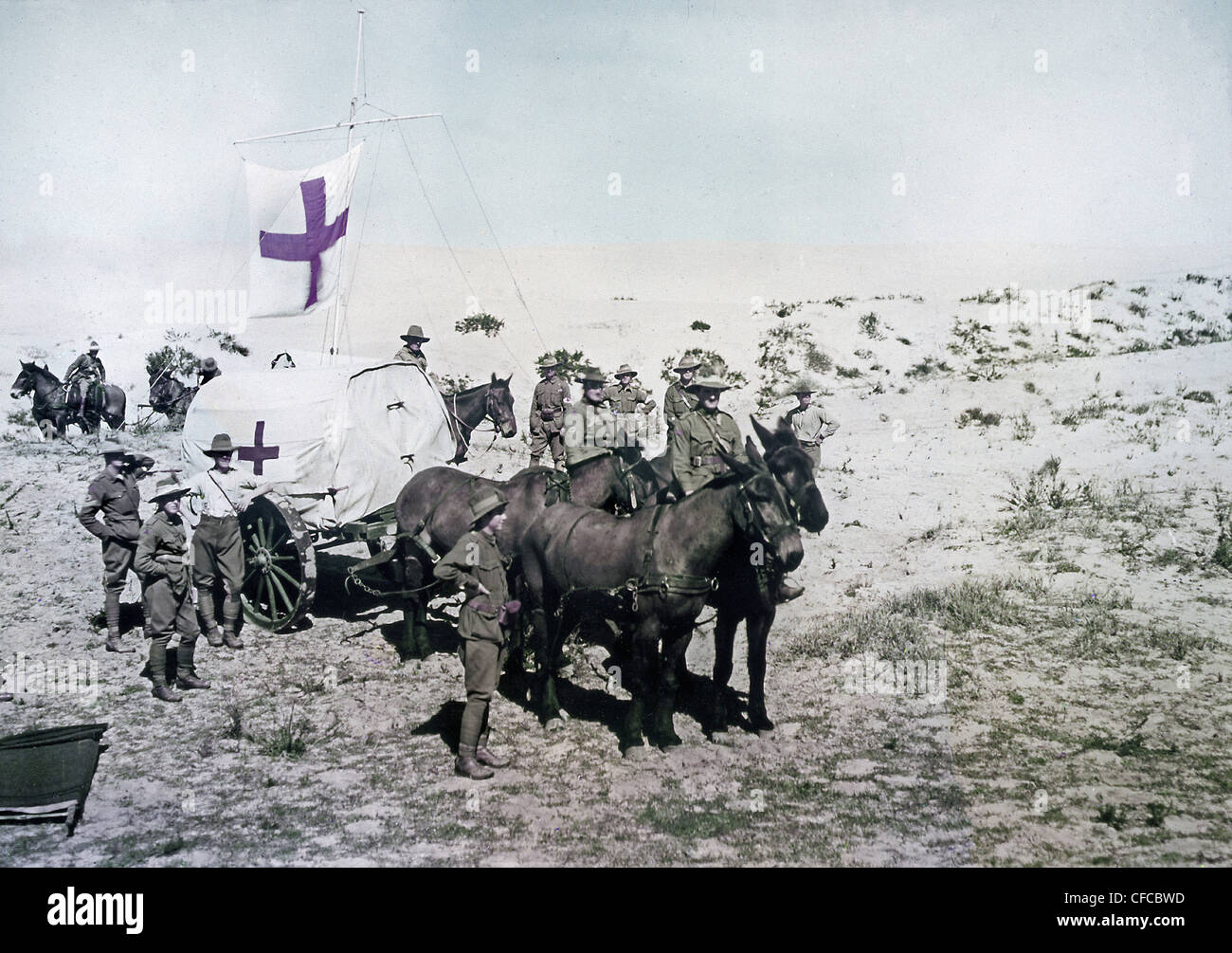 Australian, Light Horse Brigade, Field Ambulance, wagon, Ottoman Empire, Middle East, World War I, War, World War, 1914-1918, Pa Stock Photo