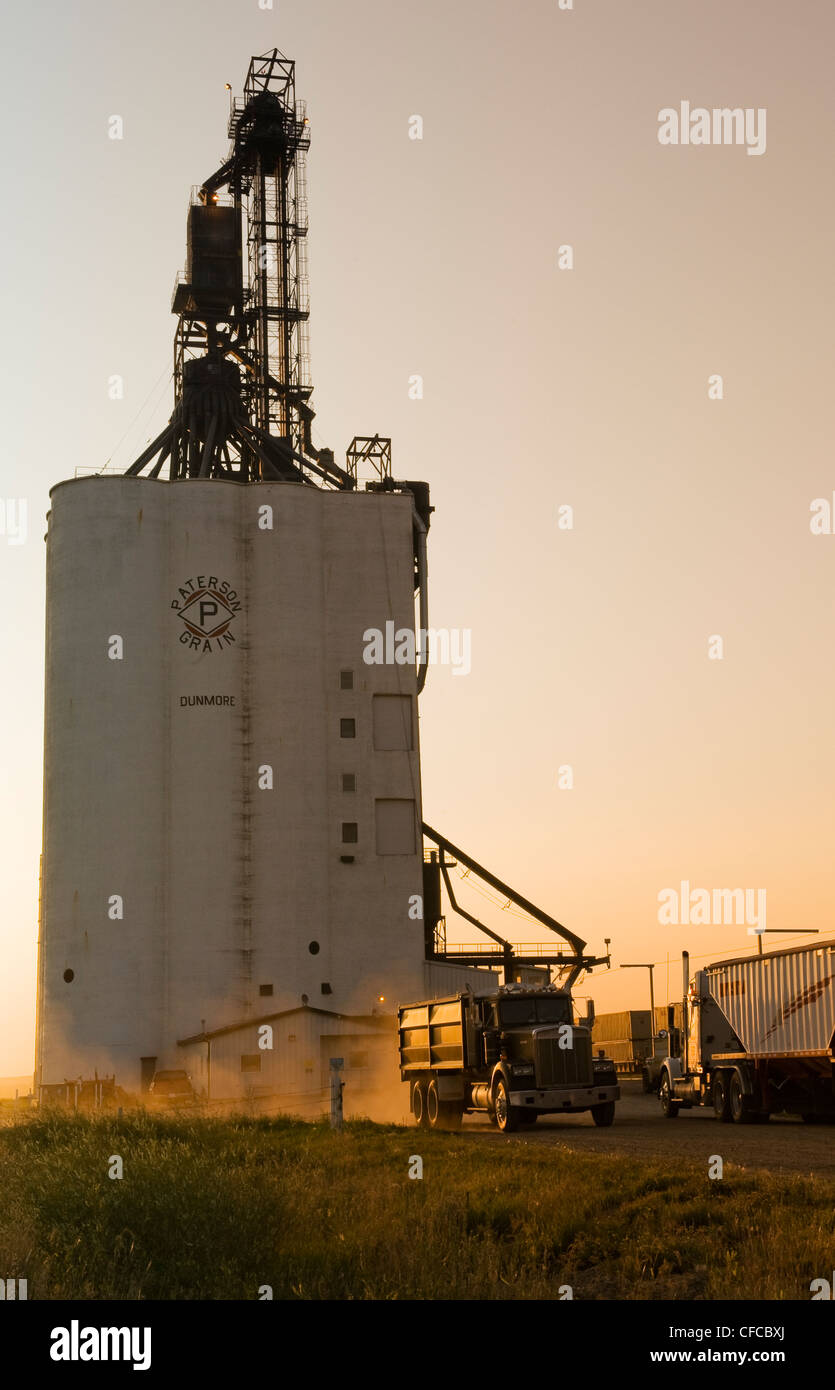 trucks delivering grain, inland grain terminal, Dunmore, Alberta , Canada Stock Photo