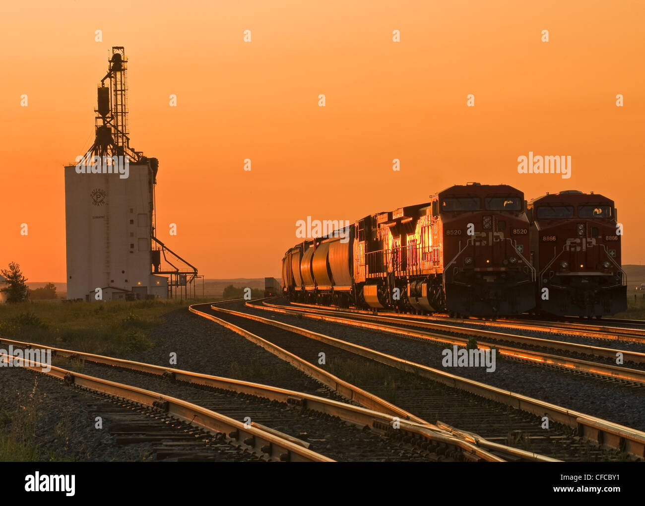 trains on sidind, inland grain terminal, Dunmore, Alberta , Canada Stock Photo