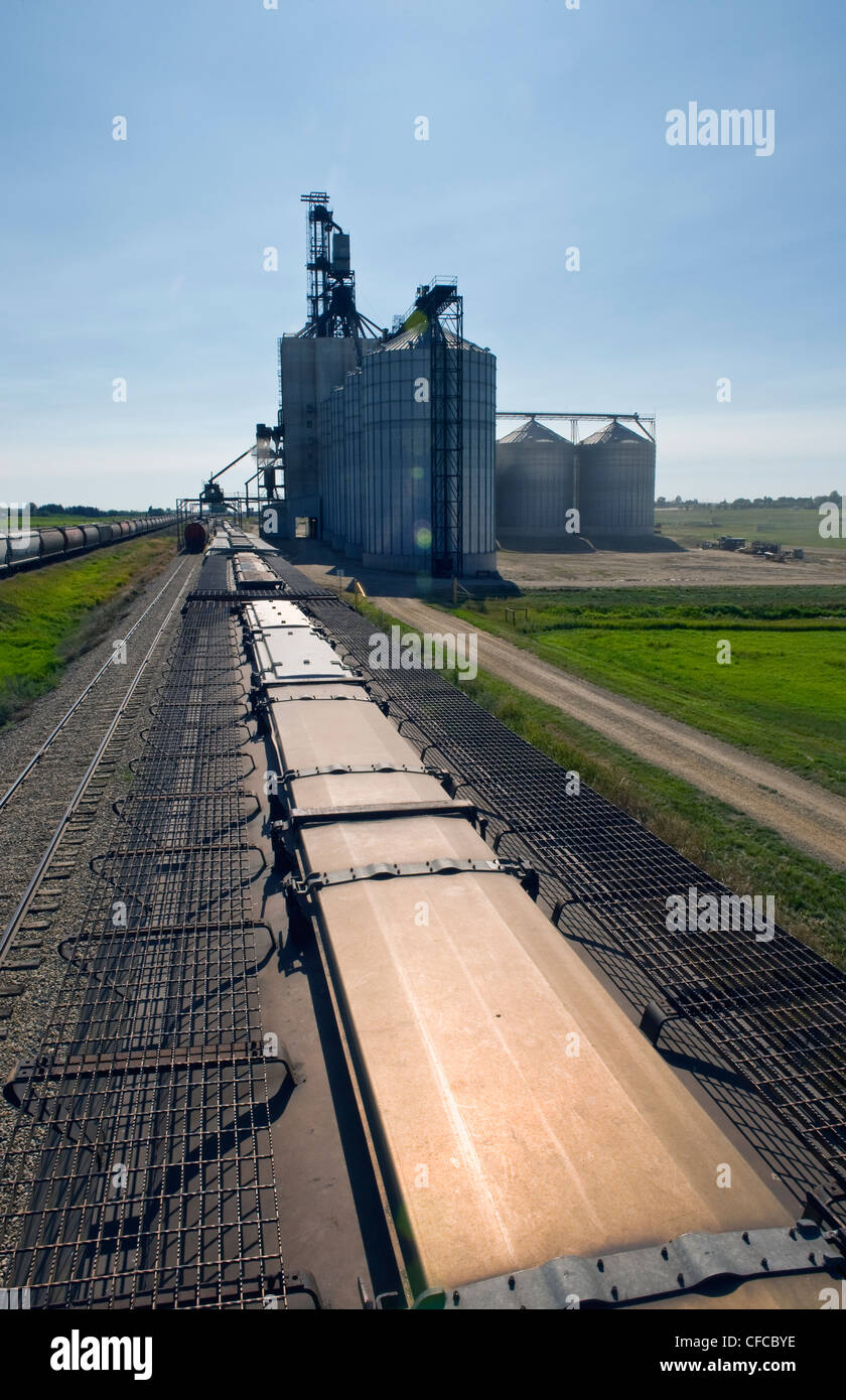 Train loading grain grain elevator hires stock photography and images