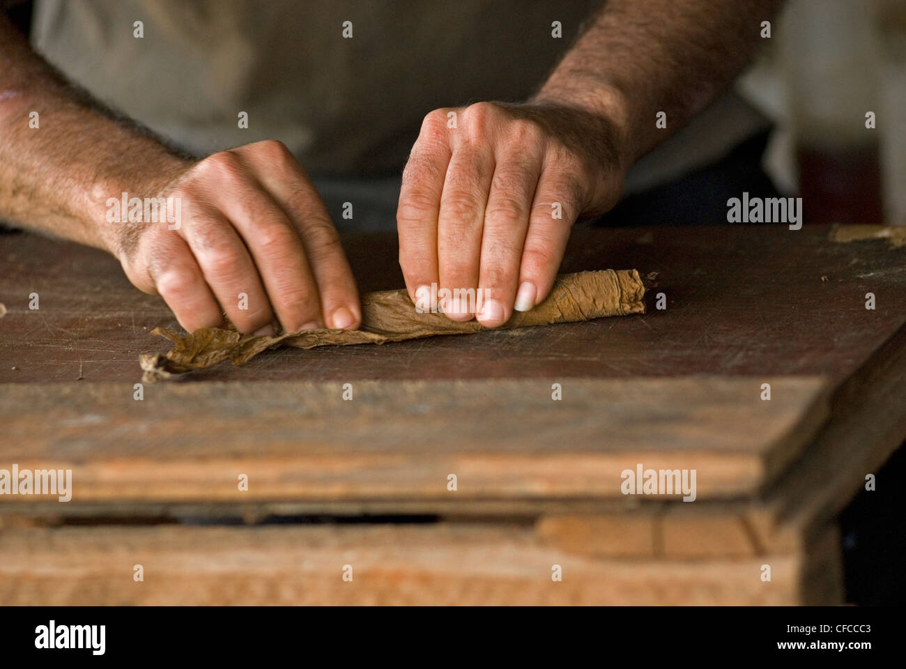 Rolling cigars in Vinales Cuba Stock Photo