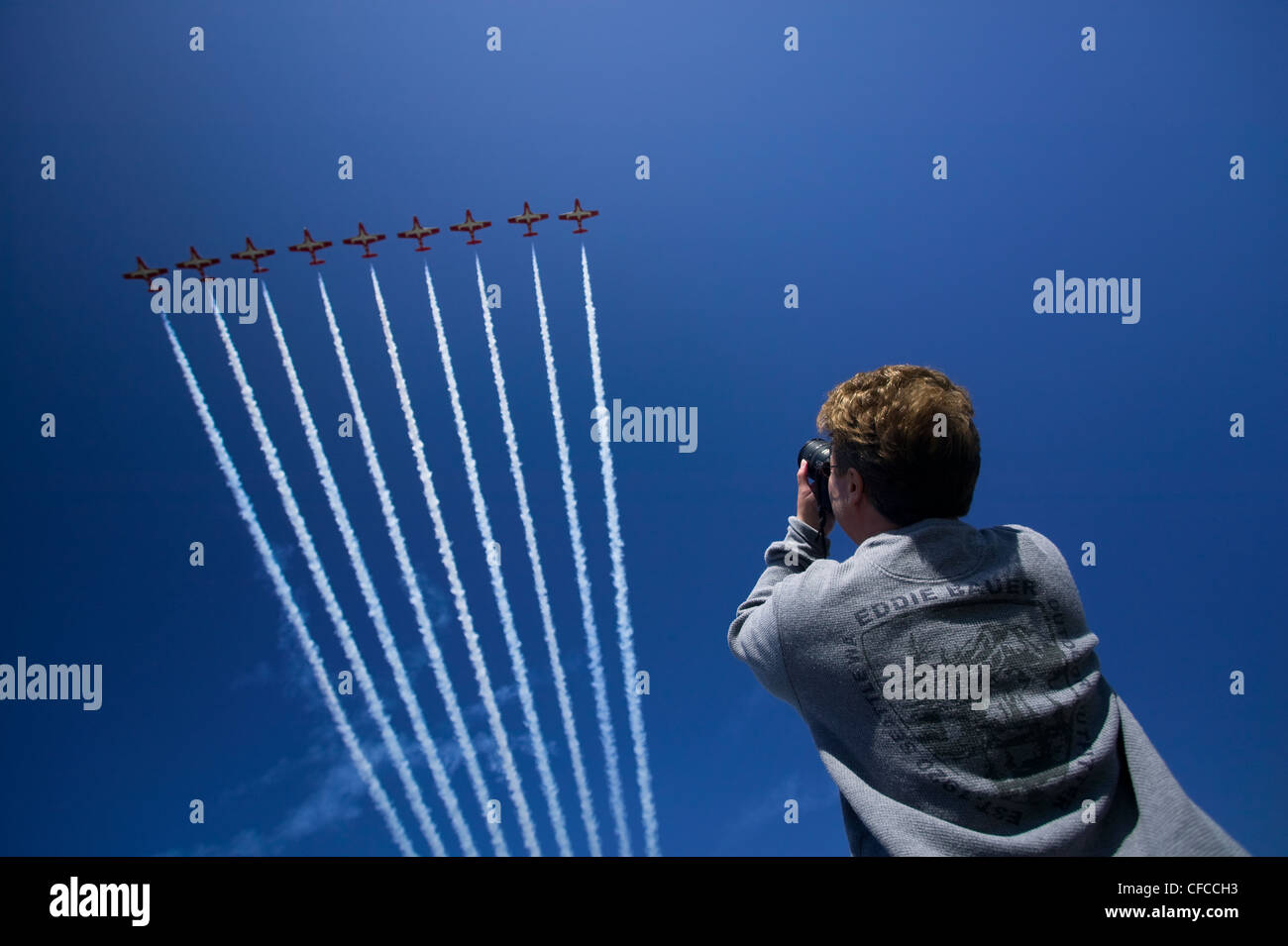 Photographer takes close aim Snowbird Stock Photo