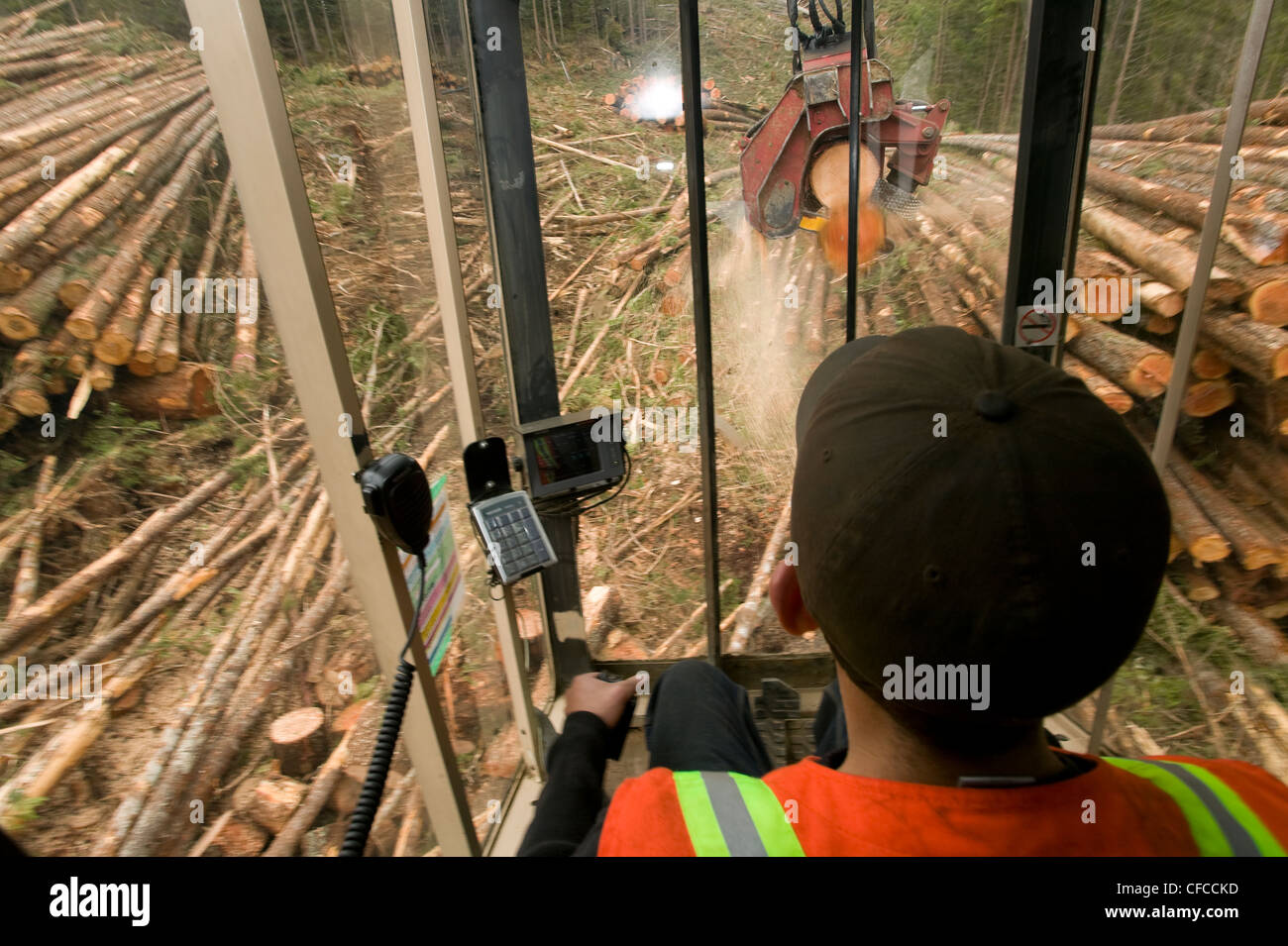 Operator working processor hoisting cutting 2nd Stock Photo Alamy