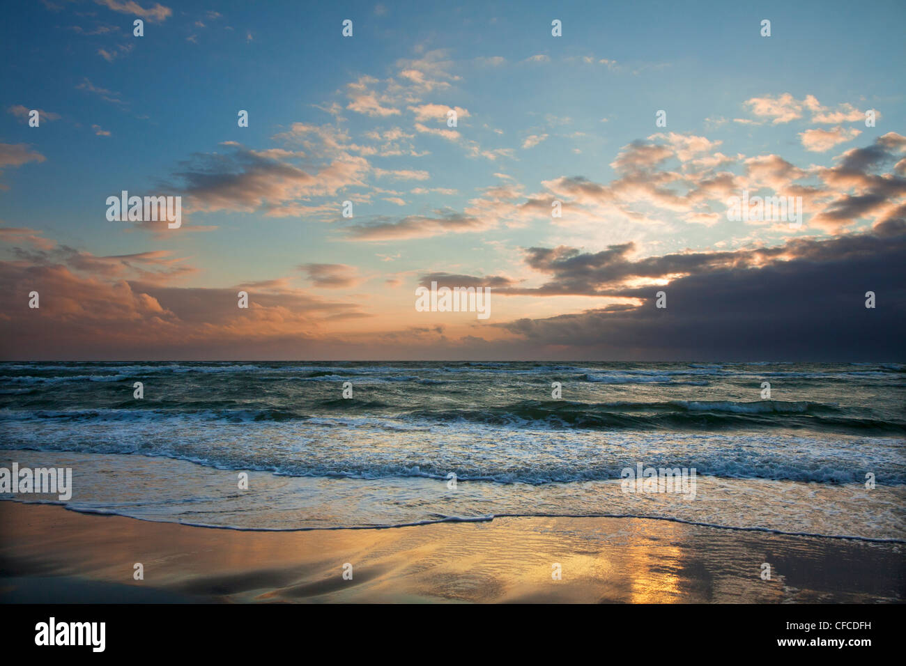 Darss West beach at dusk, Fischland-Darss-Zingst, Baltic Sea, Mecklenburg-West Pomerania, Germany Stock Photo