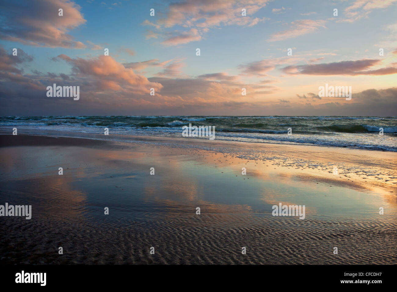 Darss West beach at dusk, Fischland-Darss-Zingst, Baltic Sea, Mecklenburg-West Pomerania, Germany Stock Photo