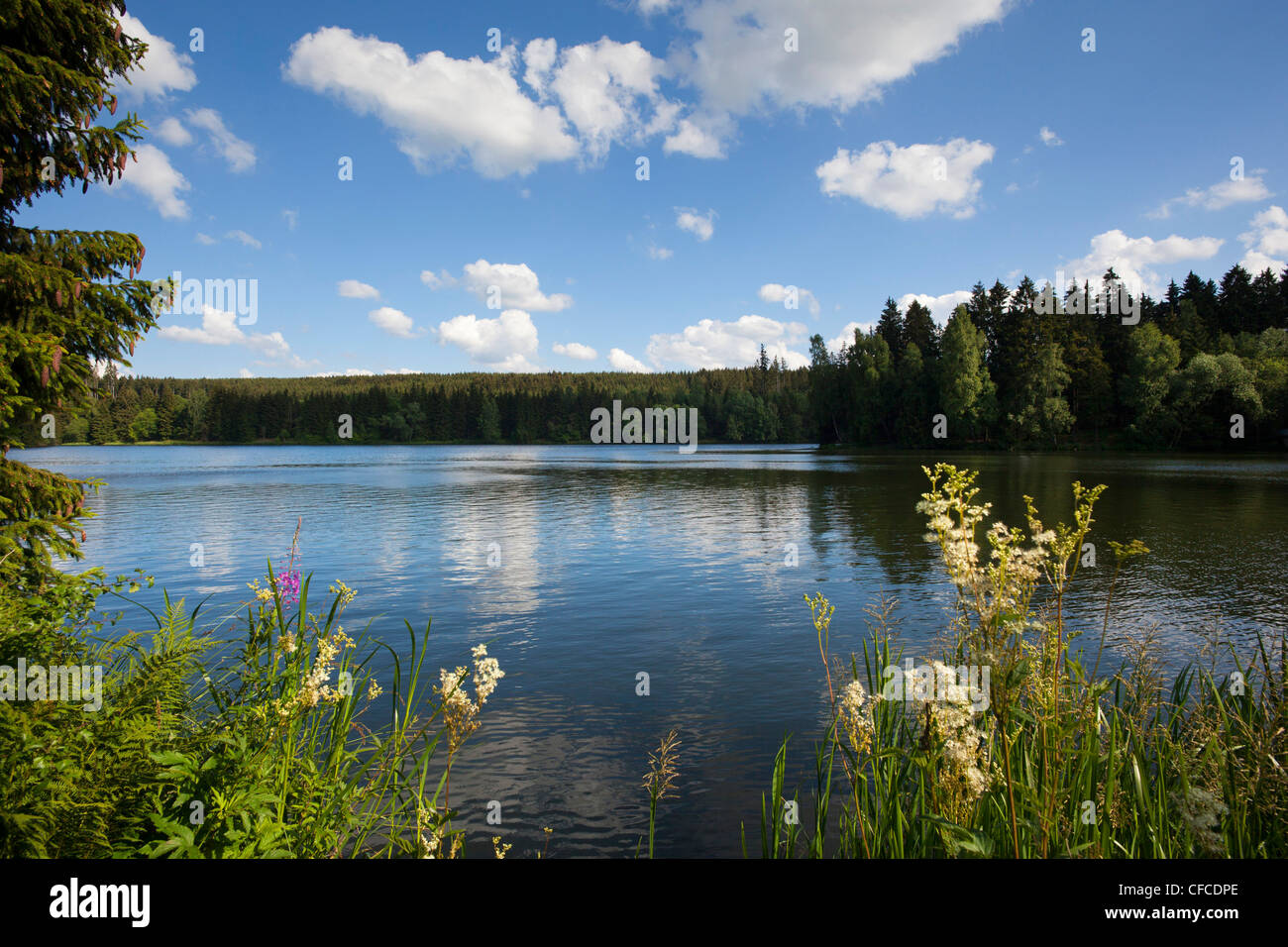 Rappbode reservoir near Hasselfelde, Harz mountains, Saxony-Anhalt, Germany Stock Photo