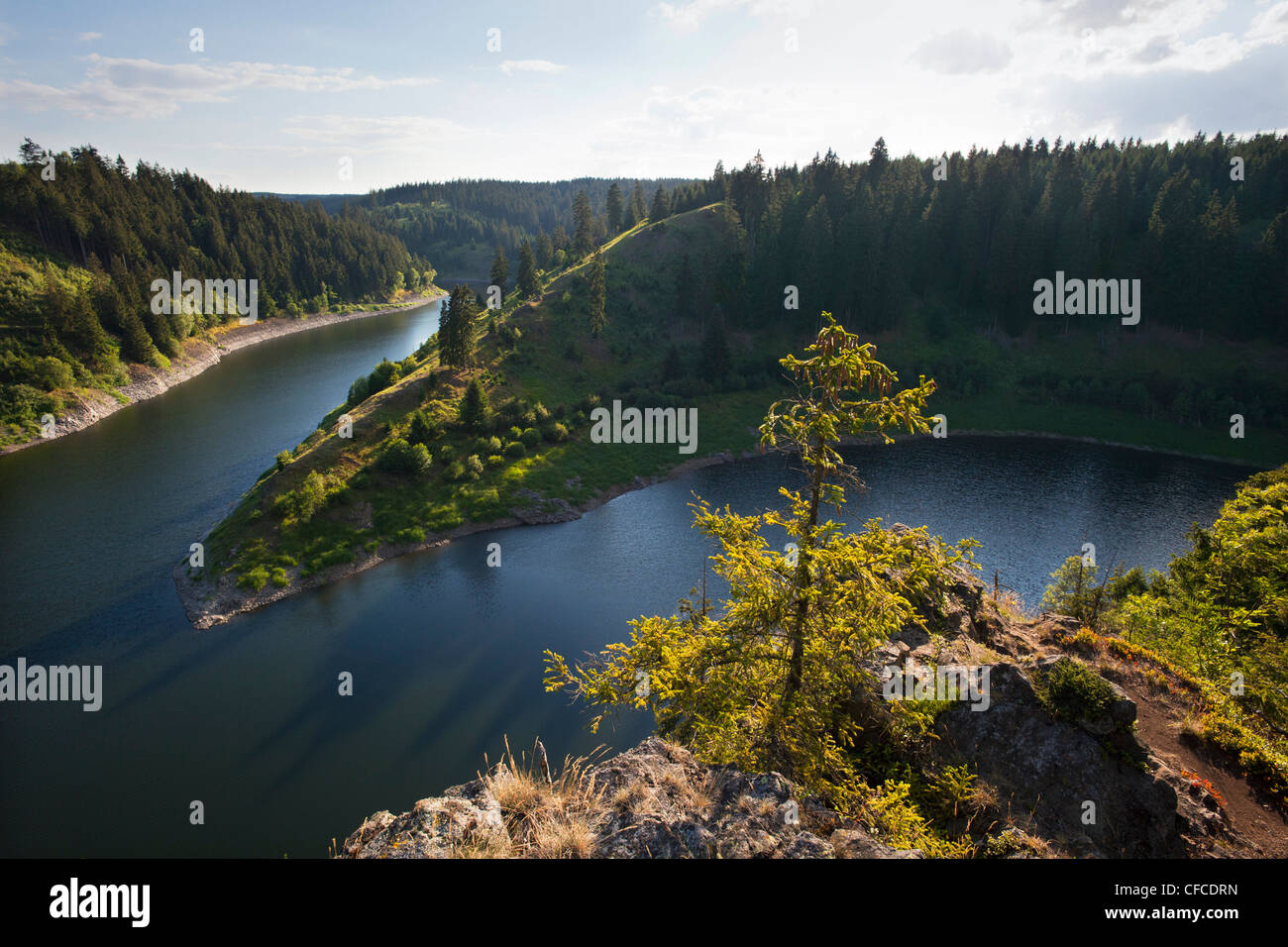 Rappbode reservoir, view over the upstream dam, near Hasselfelde, Harz mountains, Saxony-Anhalt, Germany Stock Photo