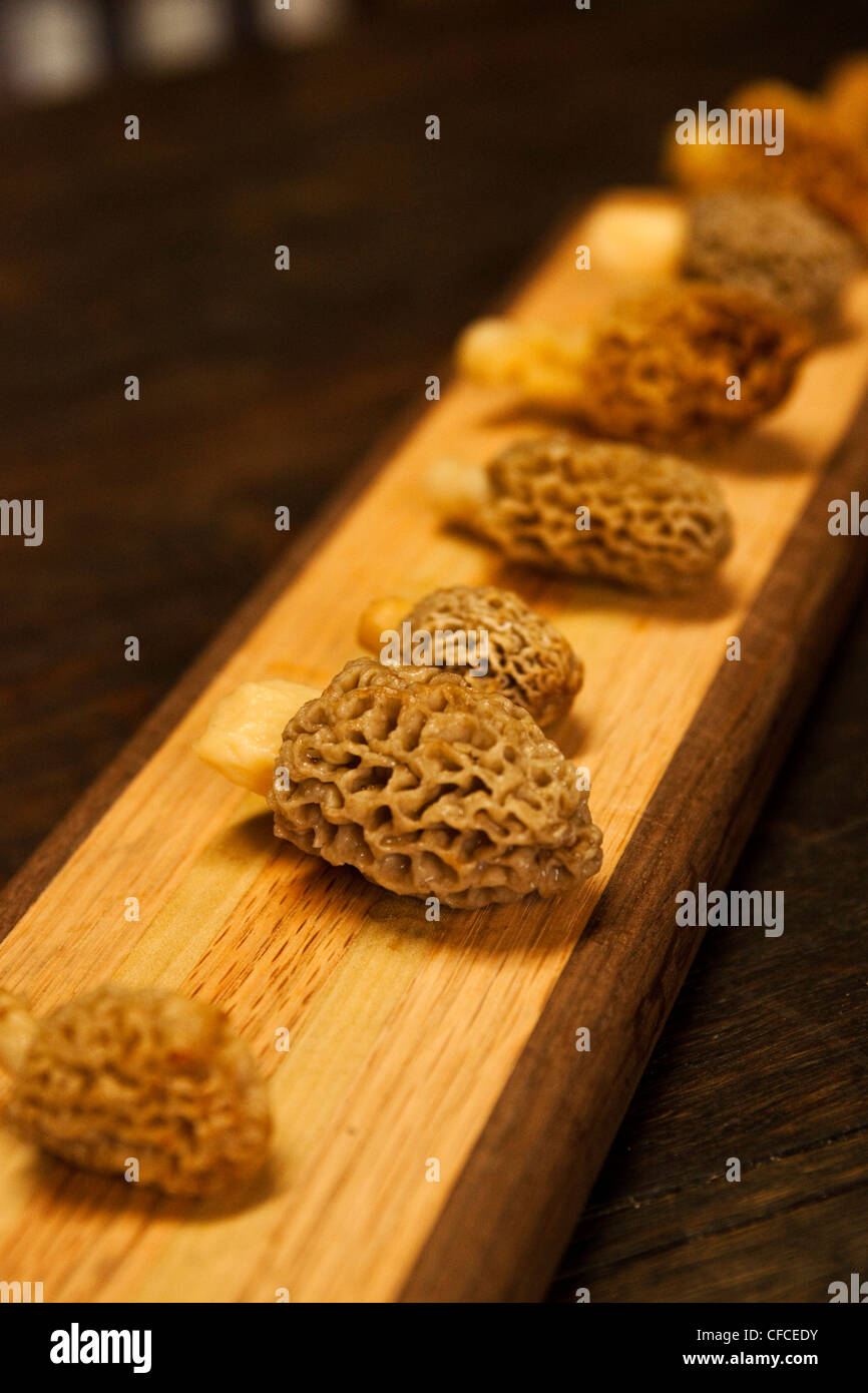 Freshly picked morel mushrooms lay on a cutting board in Montana. Stock Photo