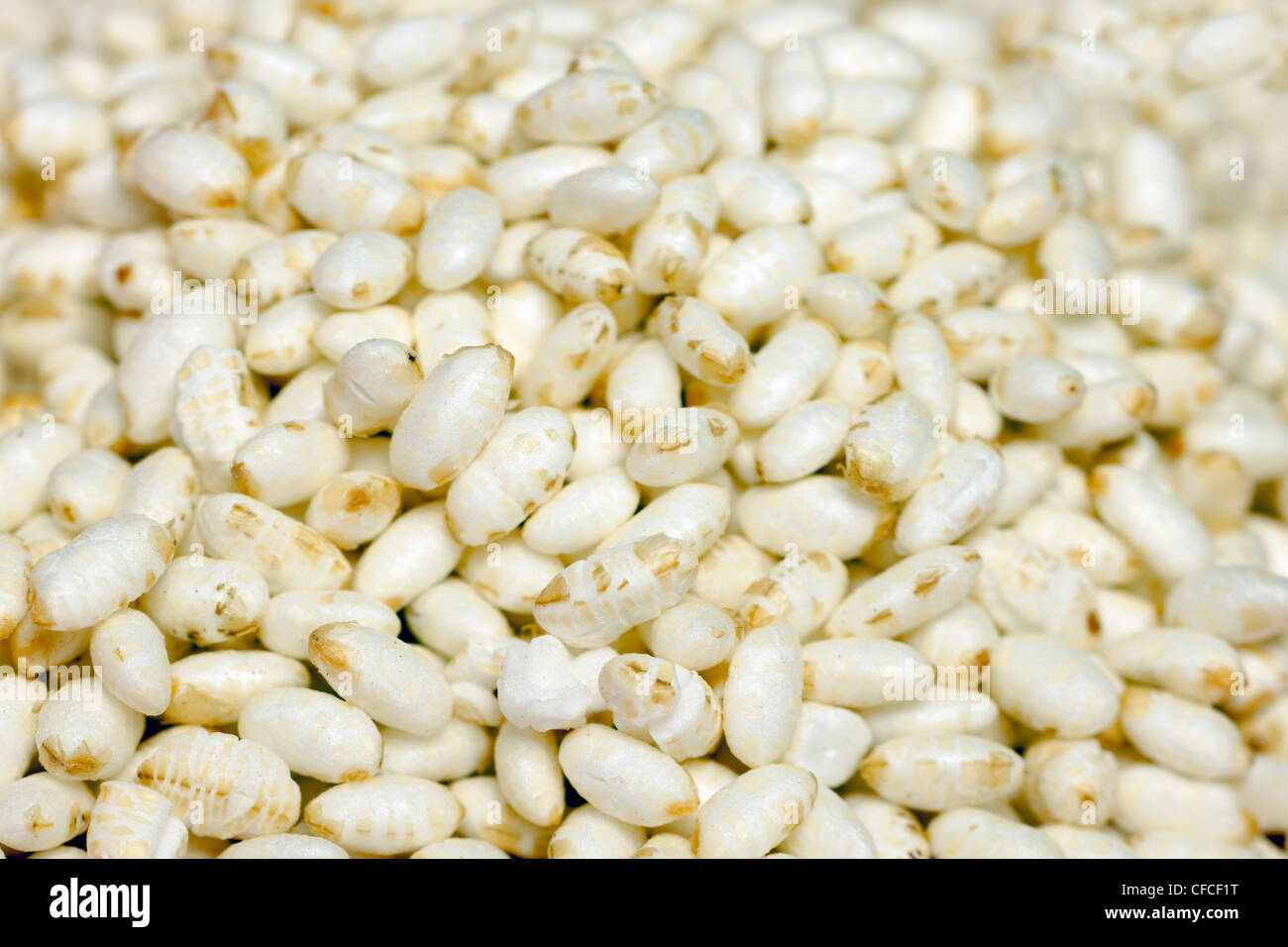 Closeup of a pile of wholegrain puffed rice Stock Photo