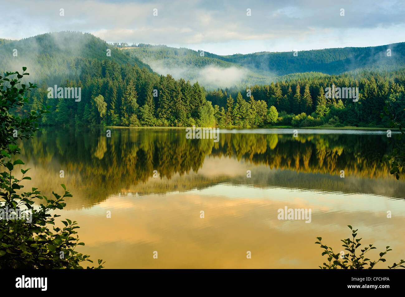 Golden sunbeam shine through the Sösestausee in Harz,Germany. Stock Photo