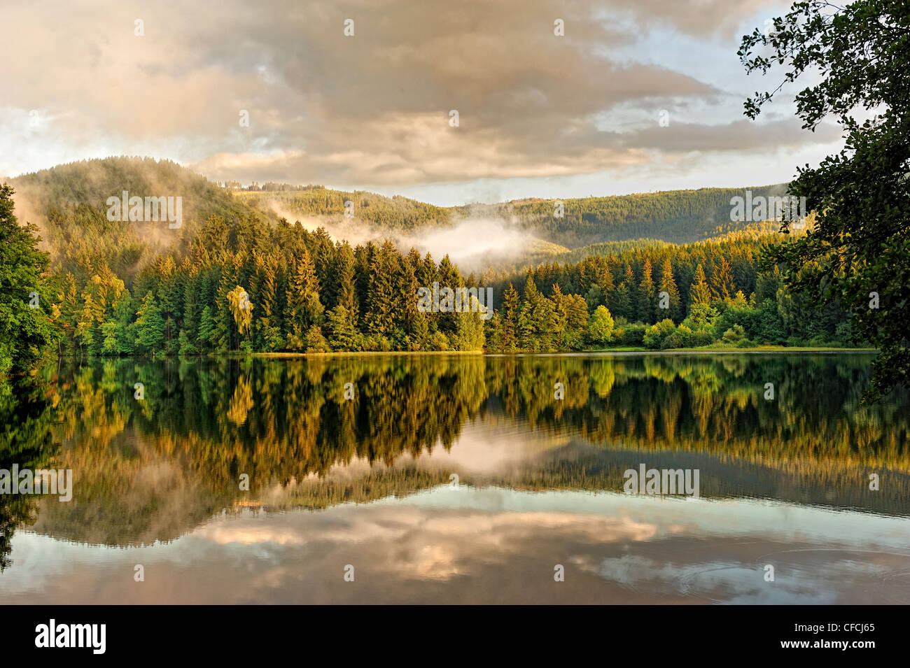 Golden sunbeam shine through the Sösestausee in Harz,Germany. Stock Photo