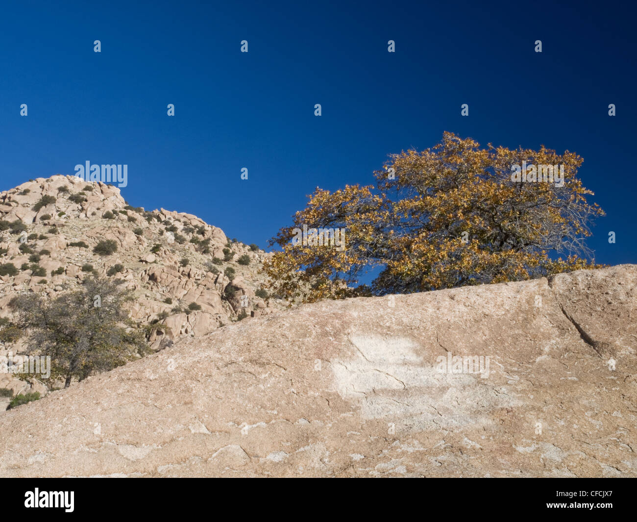 Picture of Desert landscape rocky outcropping hi-res stock photography and images ...