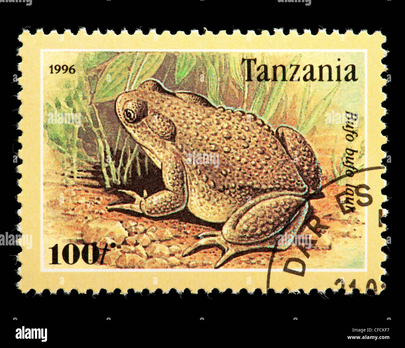 Postage stamp from Tanzania depicting European toad (Bufo bufo Stock