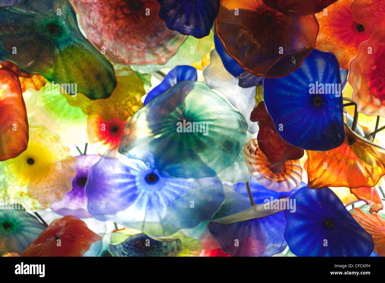 Glass floral background colorful flowers on ceiling Stock Photo
