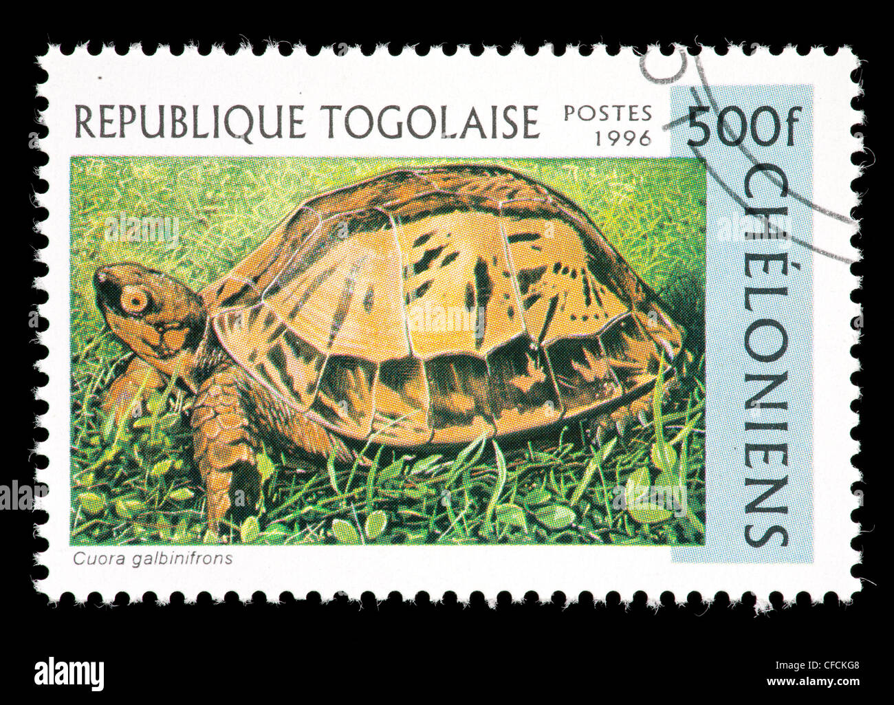 Postage stamp from Togo depicting Indochinese box turtle (Cuora galbinifrons) Stock Photo