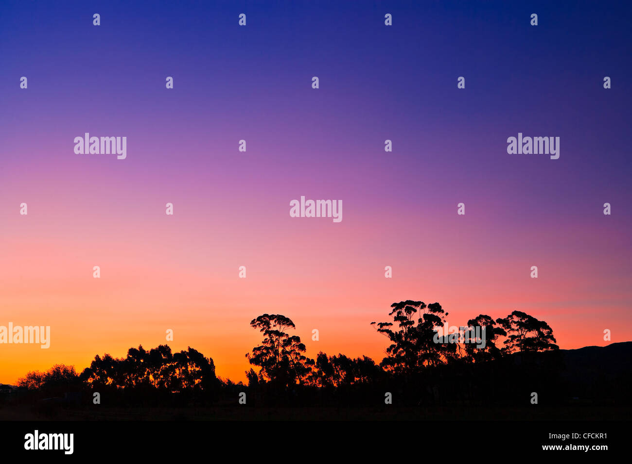 Rarangi High Resolution Stock Photography and Images - Alamy