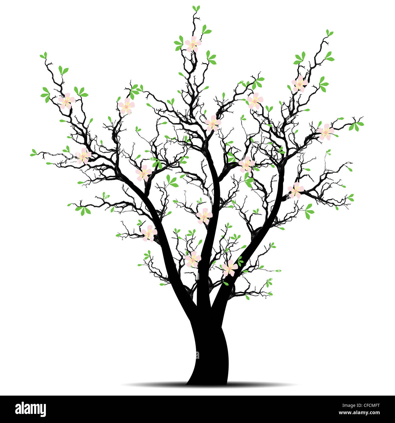 Beautiful spring tree isolated on white background Stock Photo - Alamy