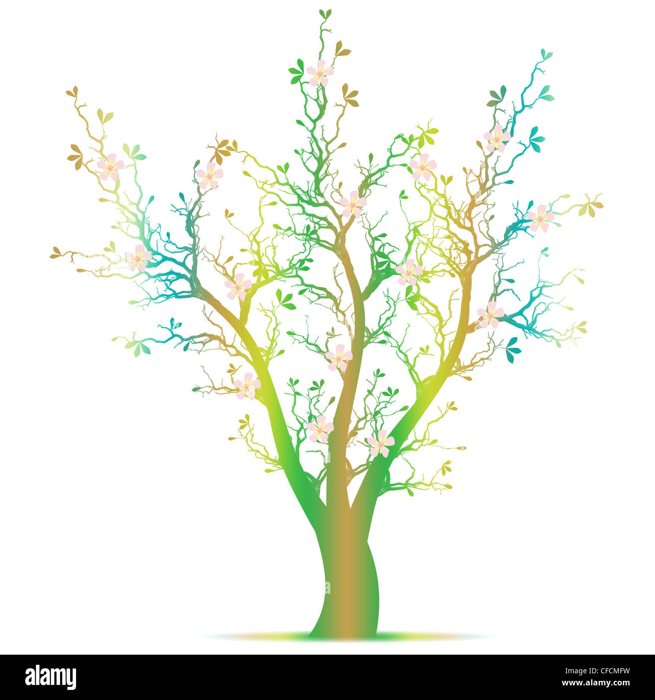 Beautiful spring tree isolated on white background Stock Photo - Alamy