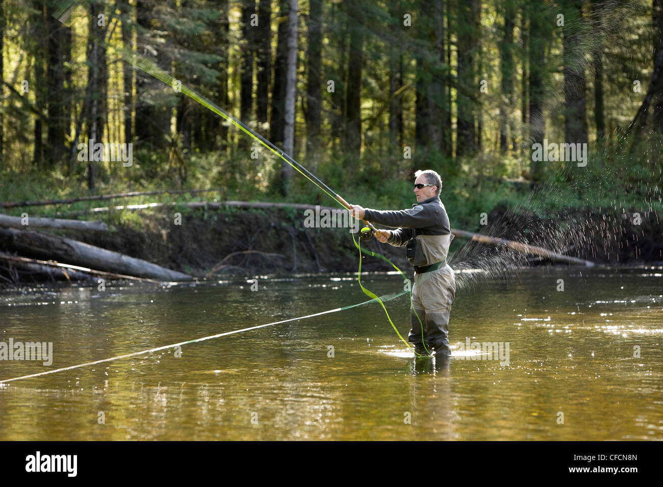 flyfisherman casts Steelhead Salmon River near Stock Photo