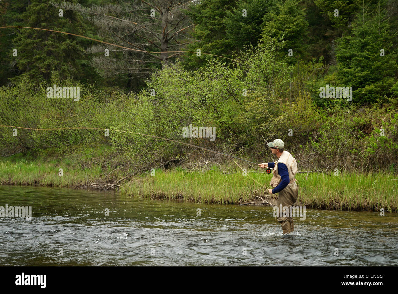 Speckled trout fishing water hires stock photography and images Alamy