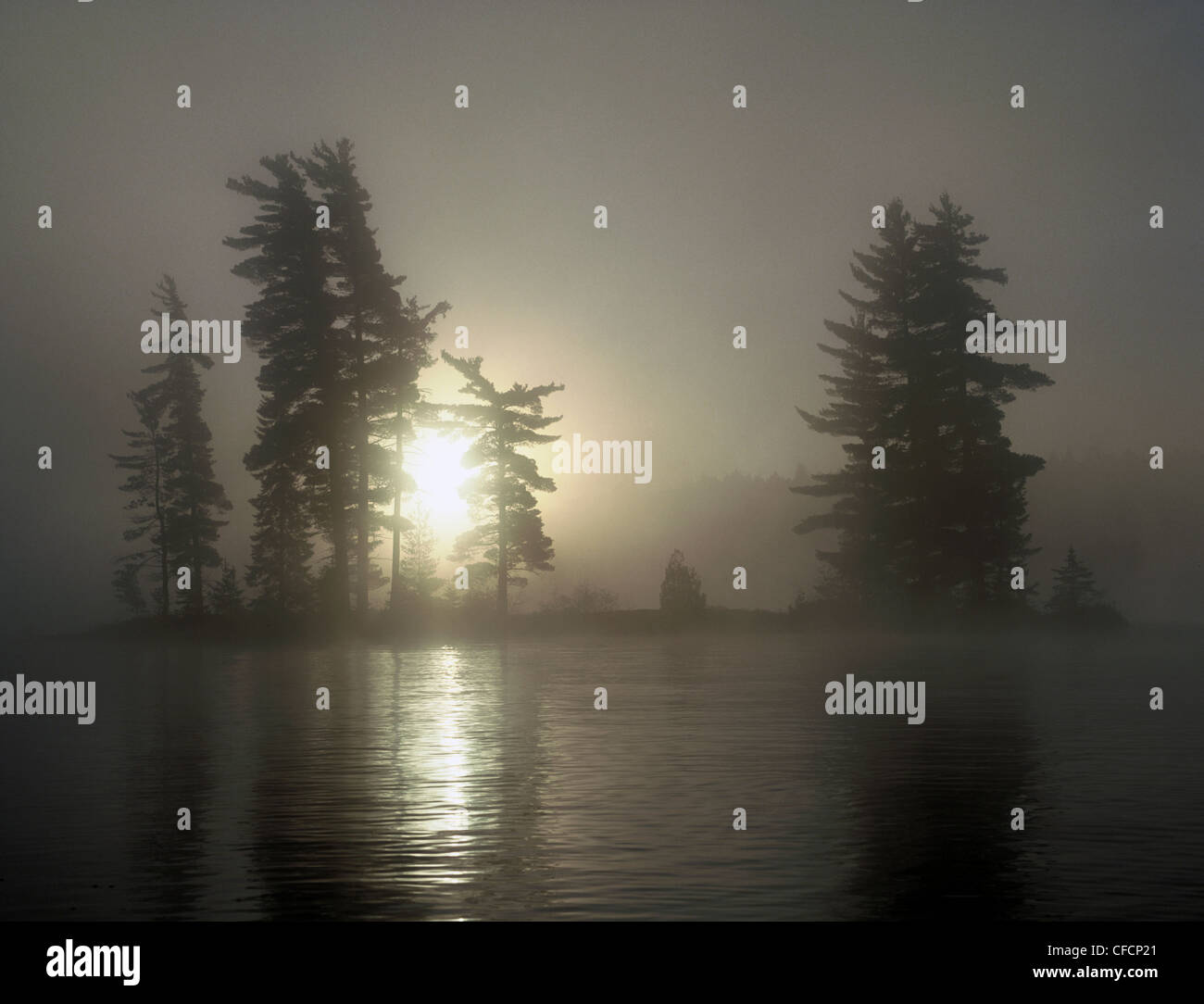 Tea lake algonquin provincial park hi-res stock photography and images ...