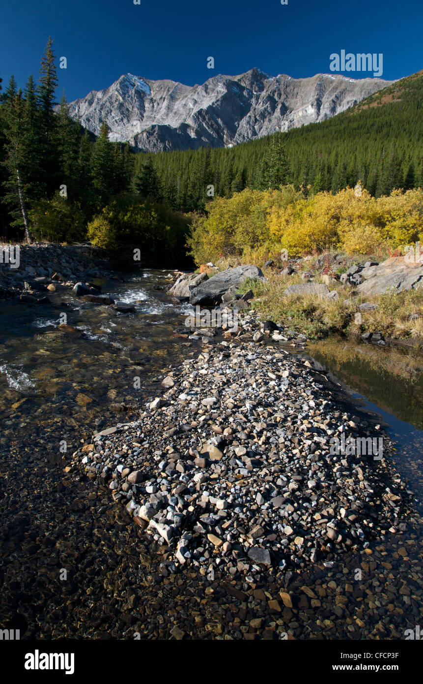 Storm Creek and autumn willows with Rocky Mountains in background. Kananaskis Country Provincial Area, Alberta, Canada. Stock Photo