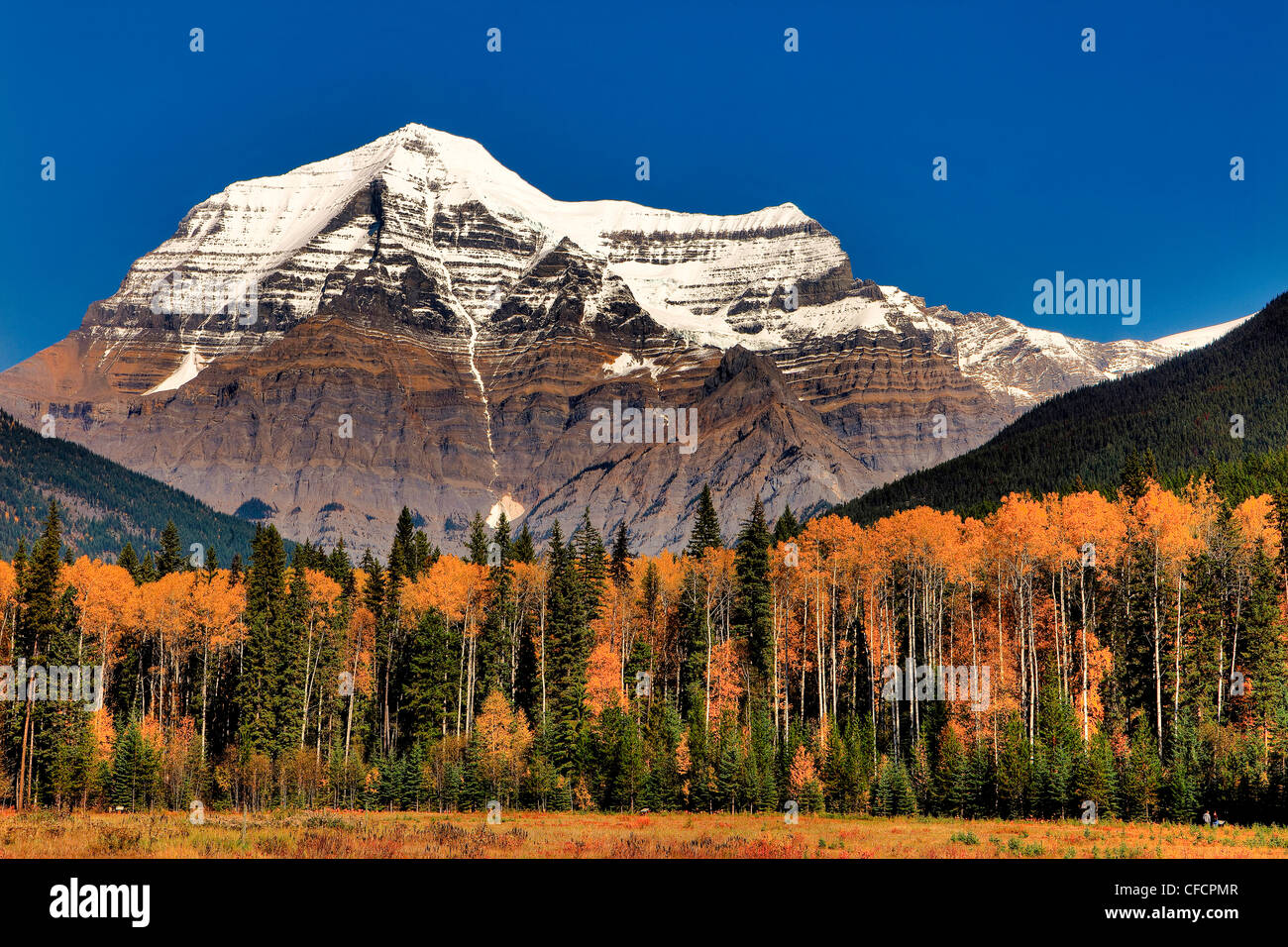 Mt Robson Mt Robson Provincial Park British Columbia Canada Stock 