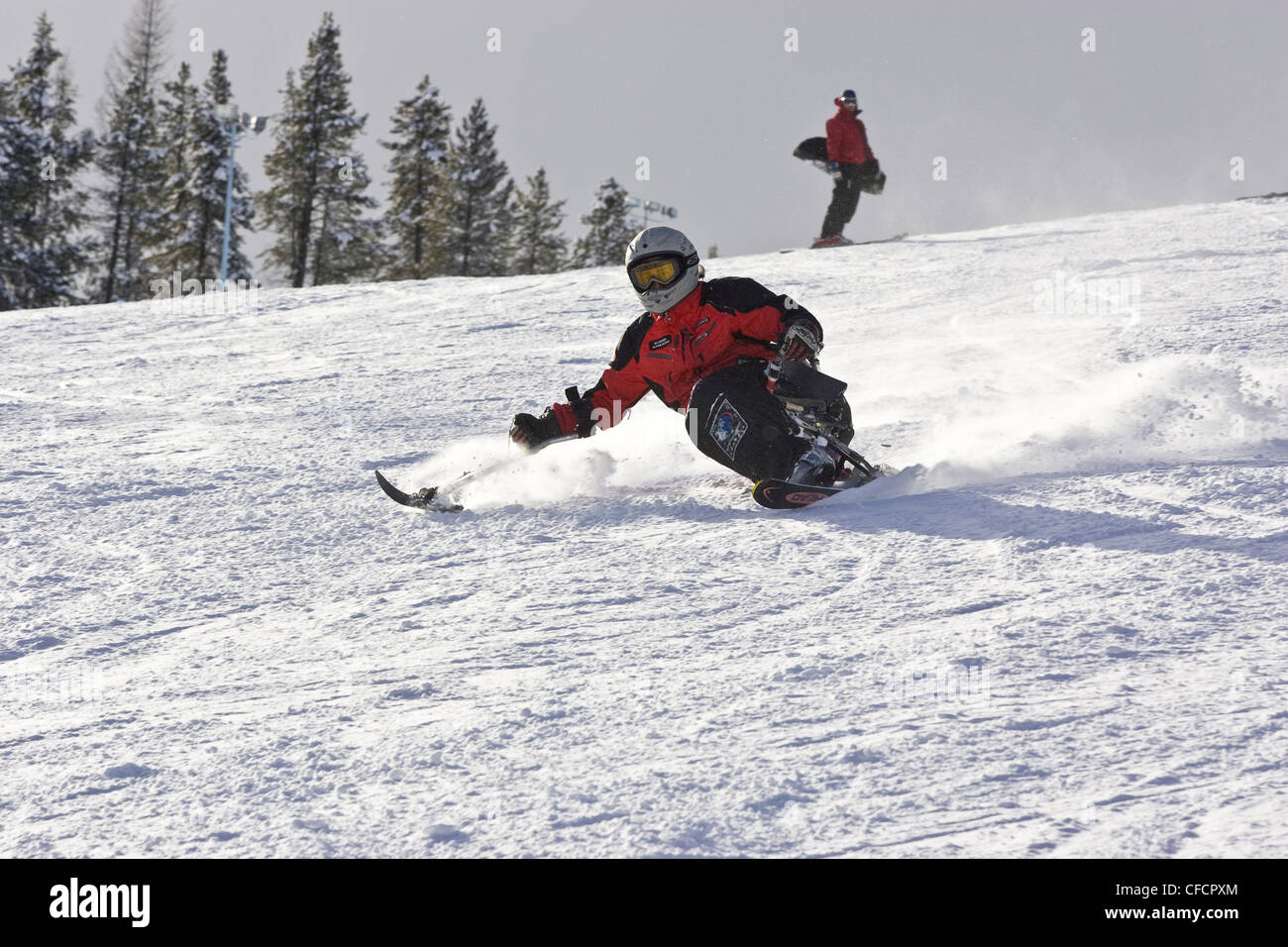 Disabled ski racer training at Kimberley Alpine Resort, British Columbia, Canada. (model release #08300) Stock Photo