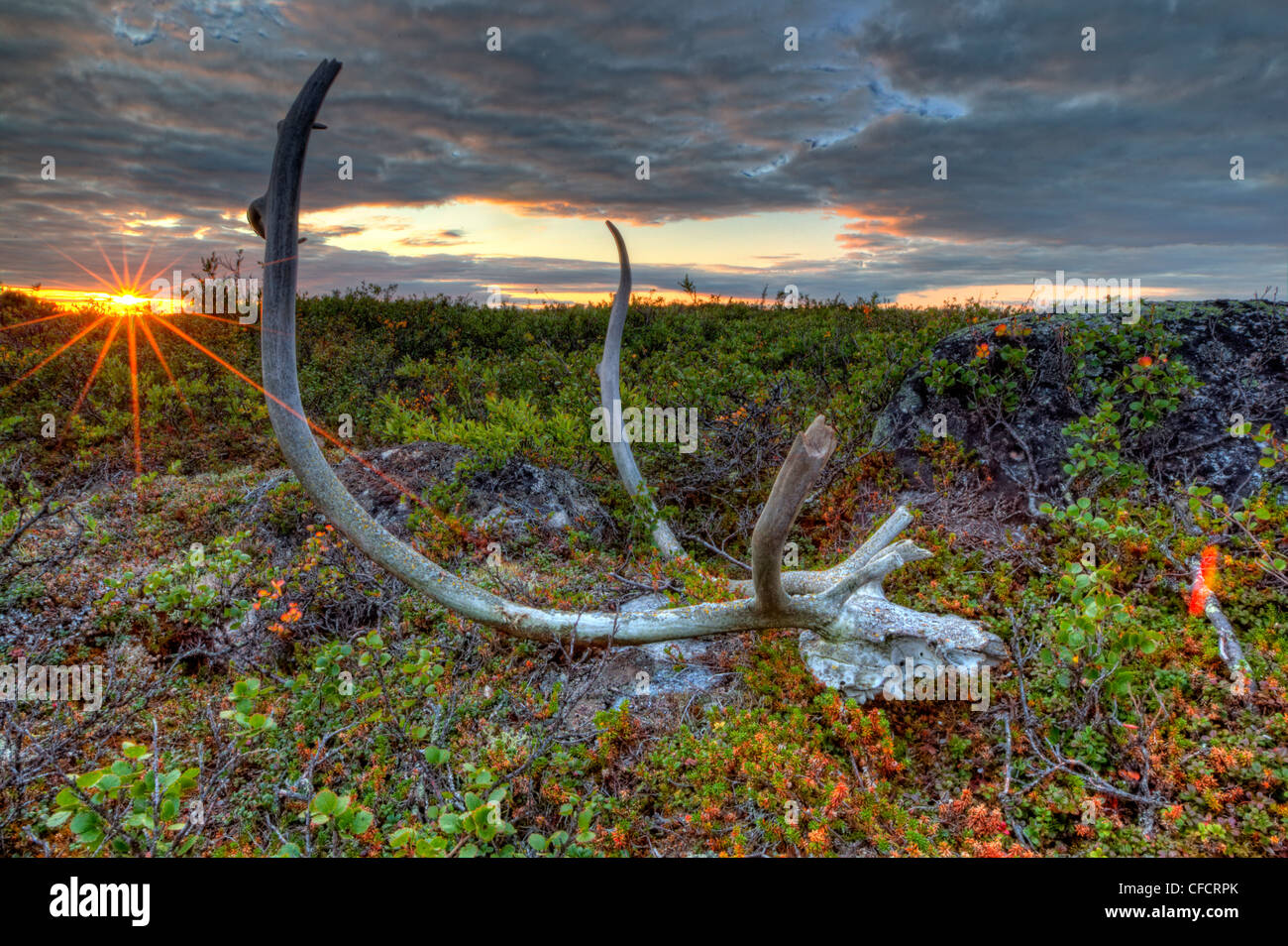 Tundroutside Hi res Stock Photography And Images Alamy