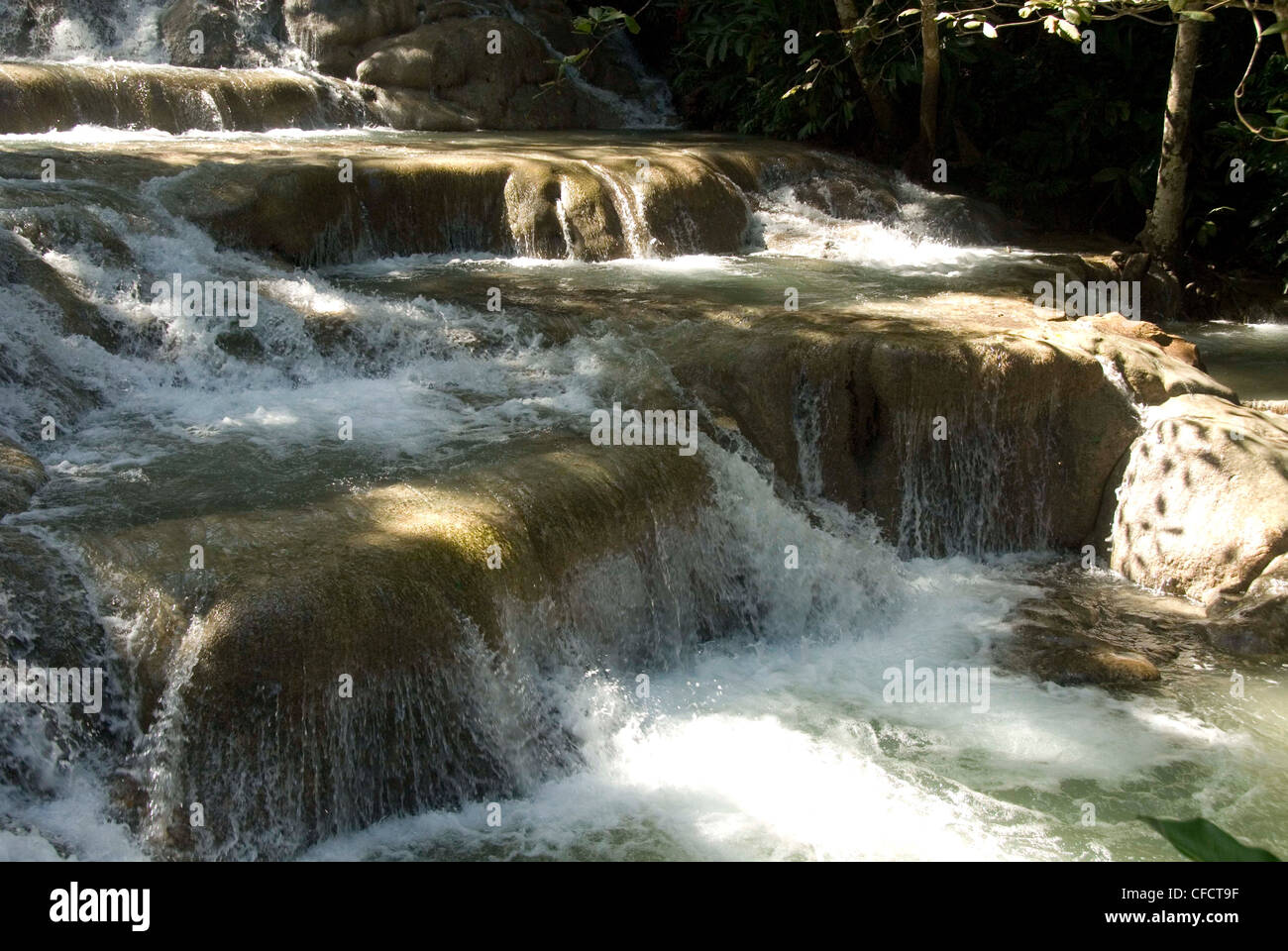 Terraces of calcite travertine forming the Dunn's River Falls, near Ocho Rios, north coast, Jamaica, West Indies, Caribbean Stock Photo