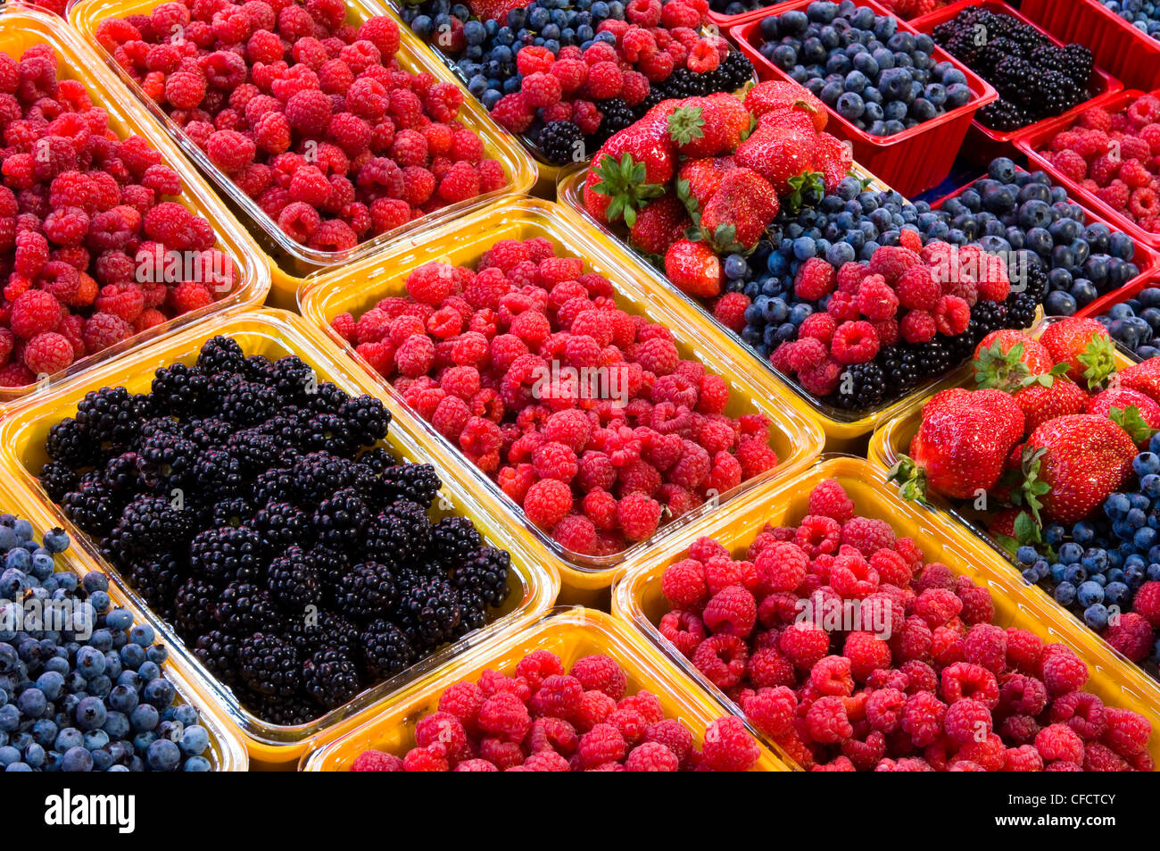 Jean Talon Market, fresh berries on display, Montreal, Quebec, Canada
