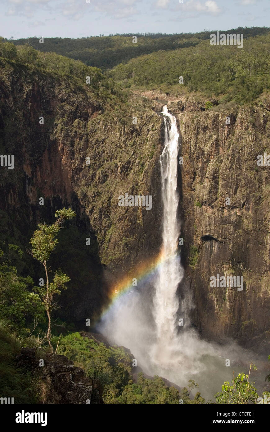 Wallaman Falls 268m drop, the tallest in Australia, Ingham, Queensland, Australia, Pacific Stock Photo