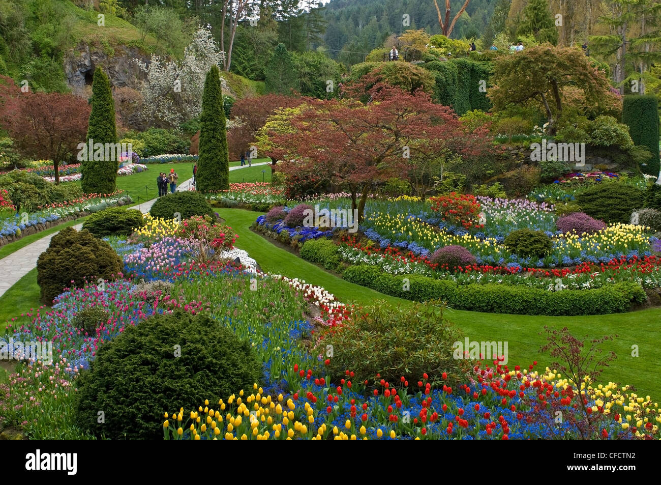 Sunken Garden in springtime, Butchart Gardens, Victoria, Vancouver Island, British Columbia, Canada Stock Photo