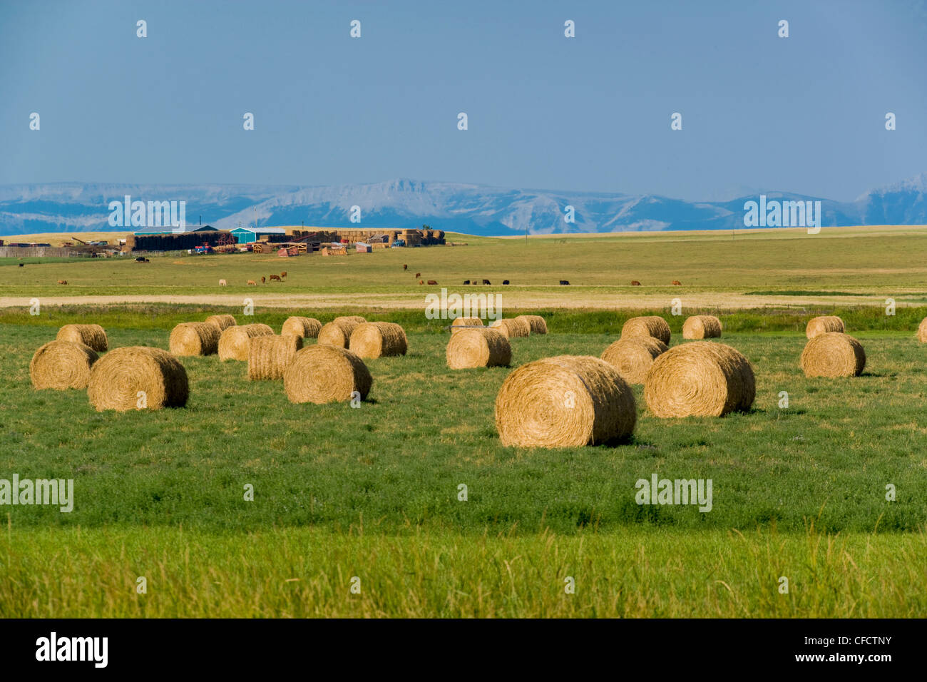 High hay hires stock photography and images Alamy