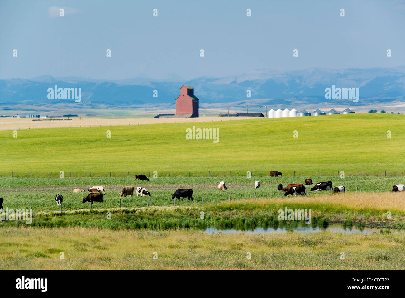 High river alberta canada hires stock photography and images Alamy