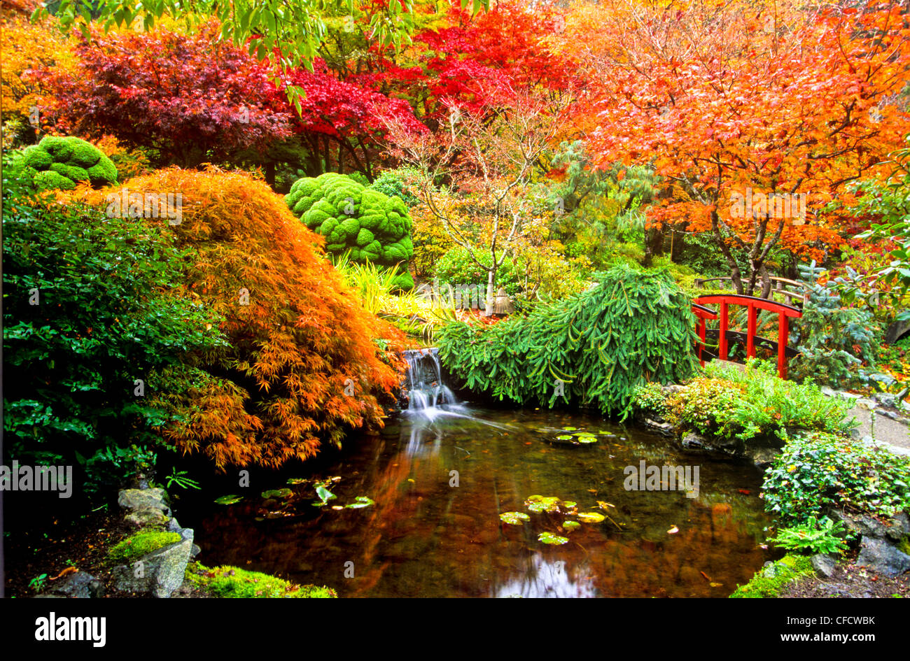 Japanese Garden, Butchart Gardens, Victoria, Vancouver Island, British Columbia, Canada Stock Photo