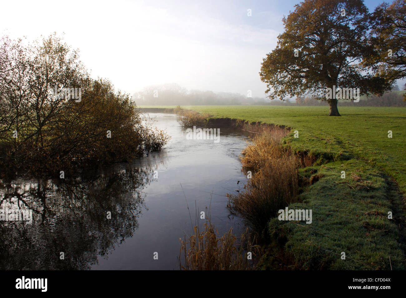 River Culm, Culm Valley, Devon, England, United Kingdom, Europe Stock ...