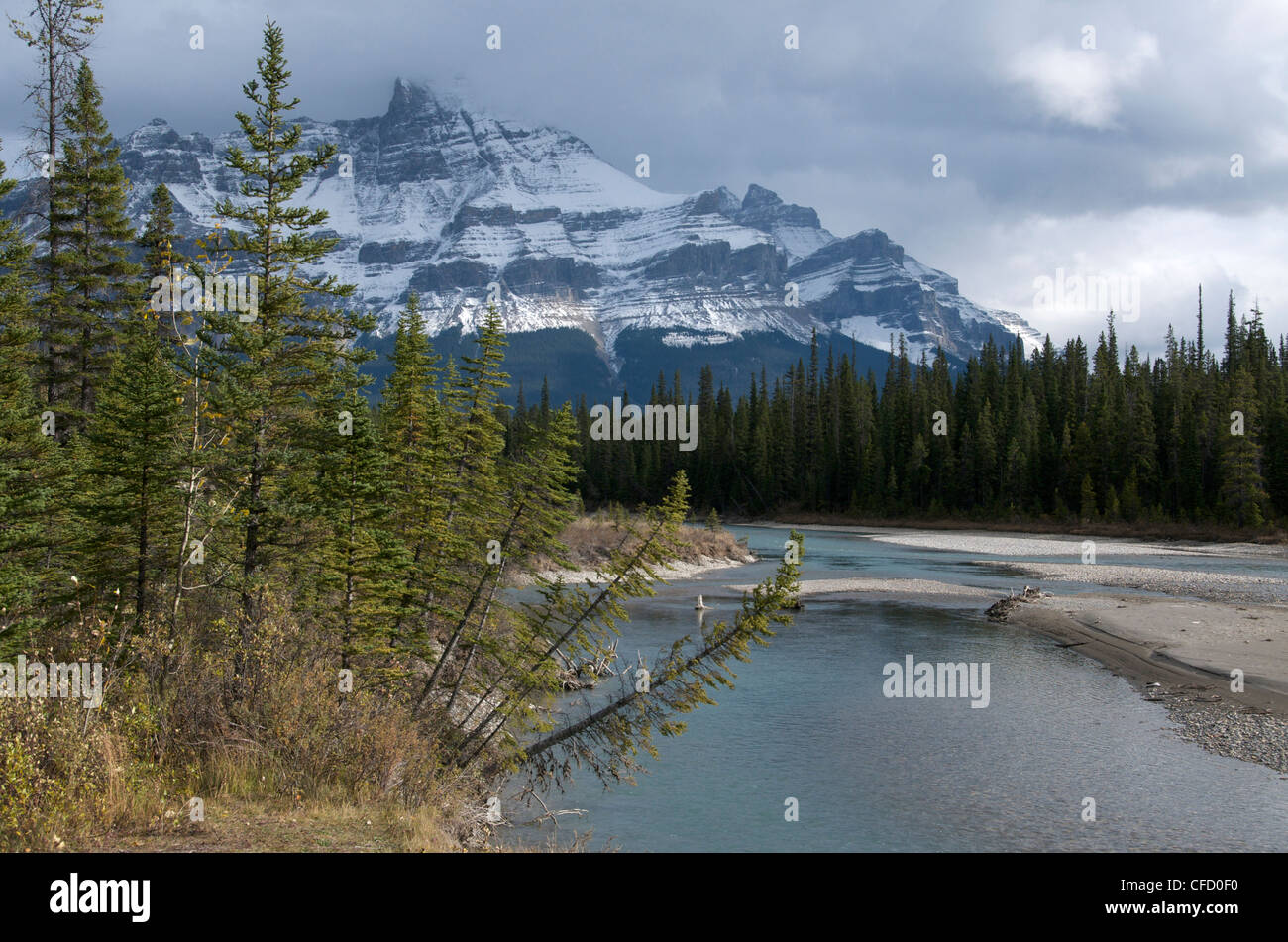 North Saskatchewan River Valley. Jasper National Park, Alberta, Canada