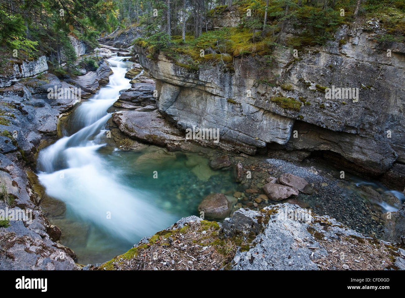 Maligne River meandering over rocks through small gorge, Jasper ...