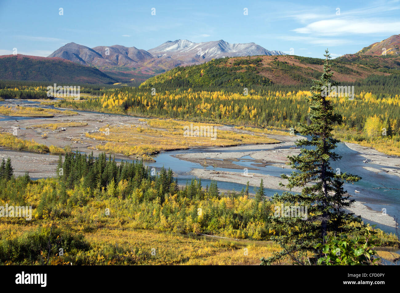 Nenana River and Alaska Range mountains near Cantwell, Alaska Stock