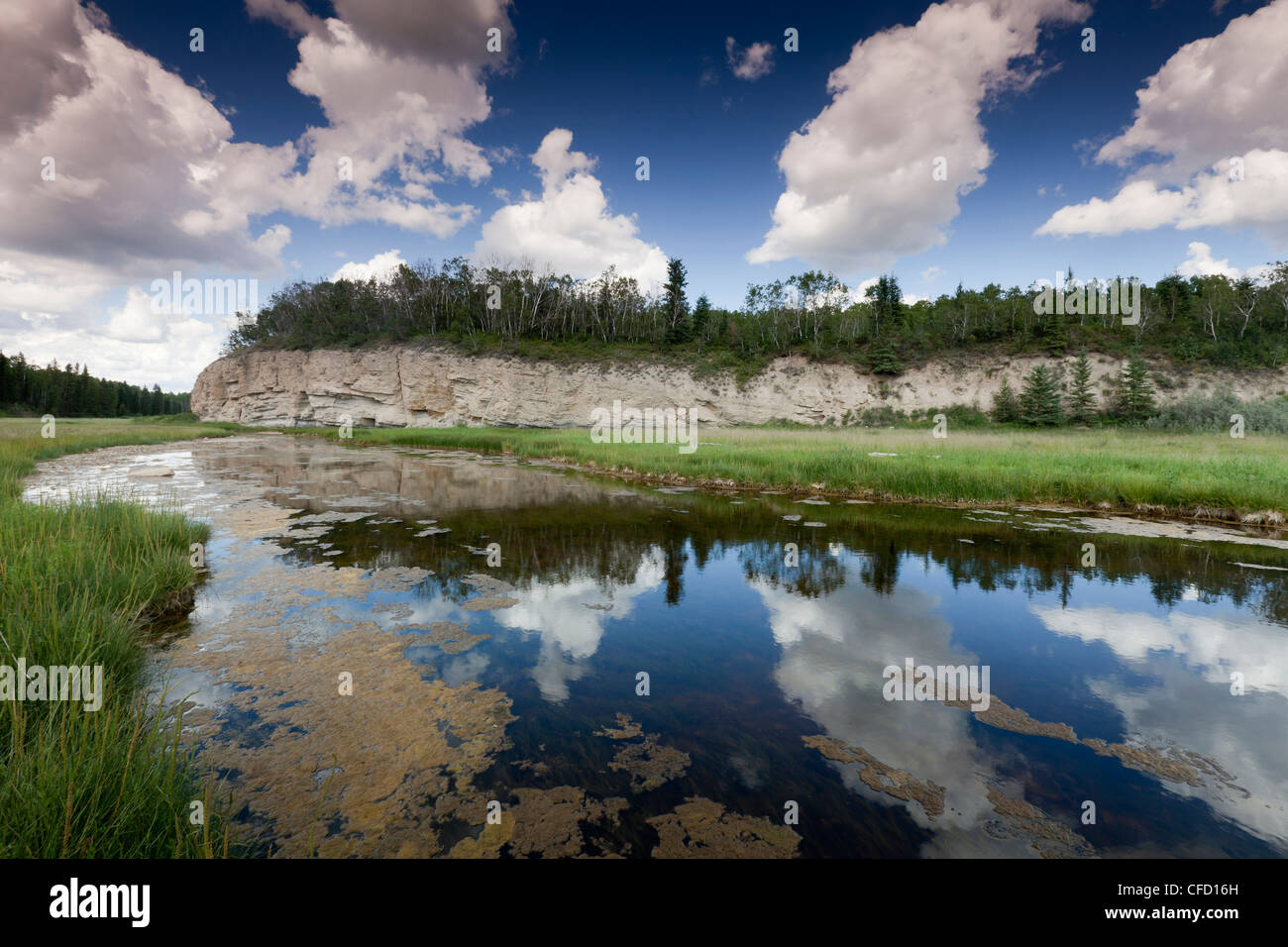 The Salt River Salt River Day Use Arein Wood Stock Photo Alamy