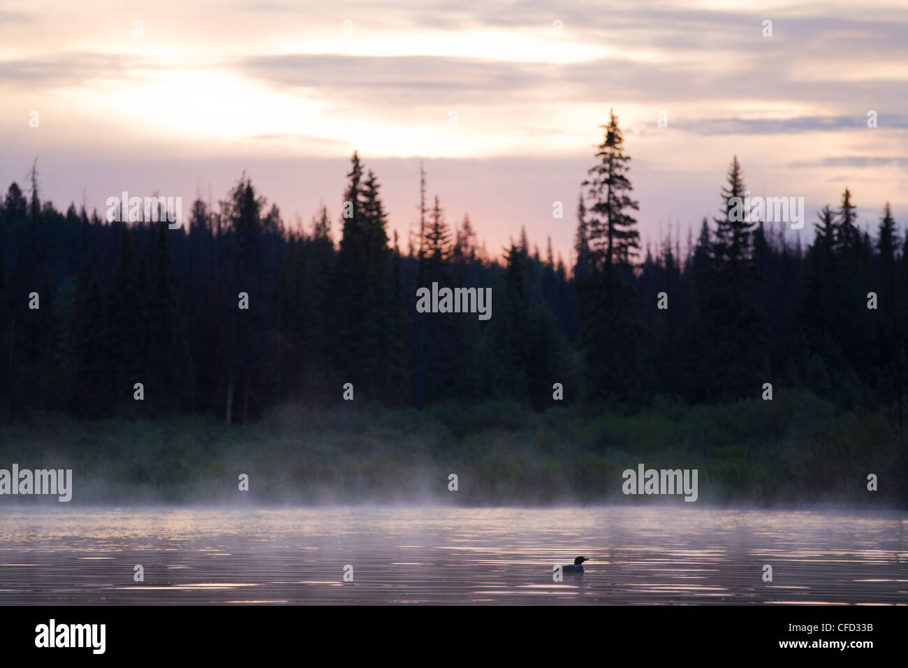 Lac le jeune lake hires stock photography and images Alamy