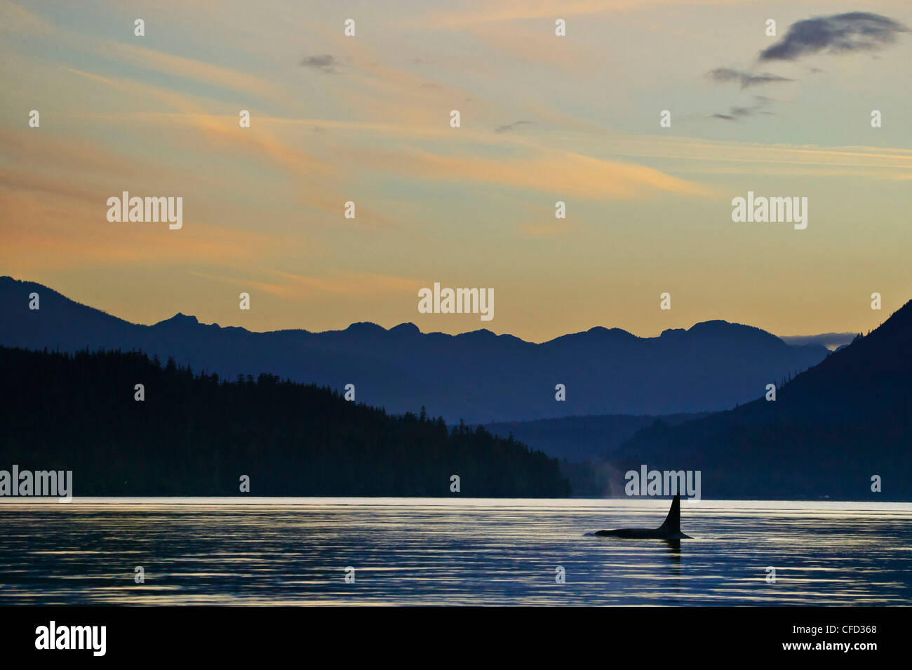 Sunset orcas island hi-res stock photography and images - Page 2 - Alamy