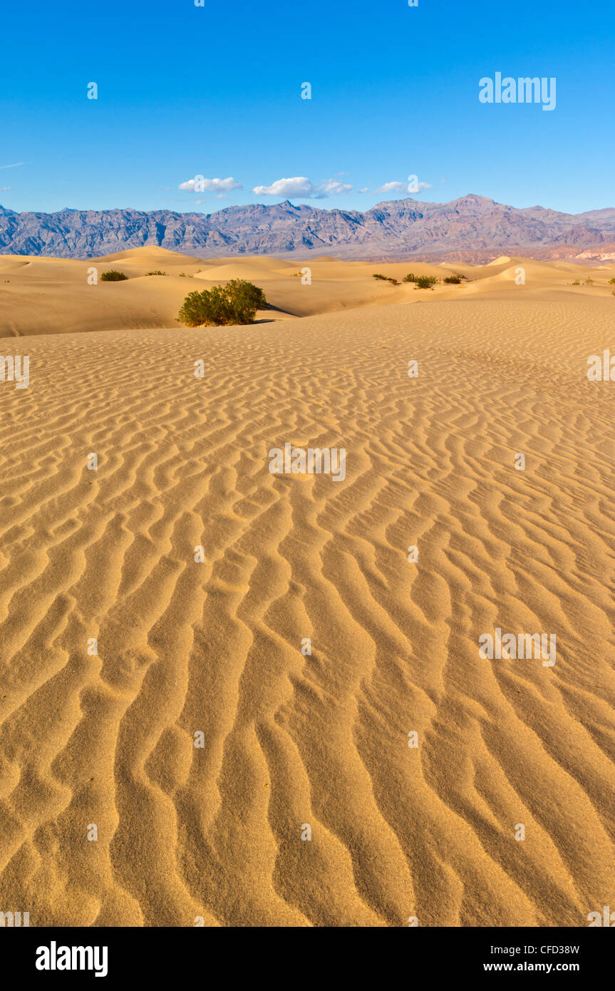 Sand ripples, Stovepipe Wells, Death Valley National Park, California, USA Stock Photo
