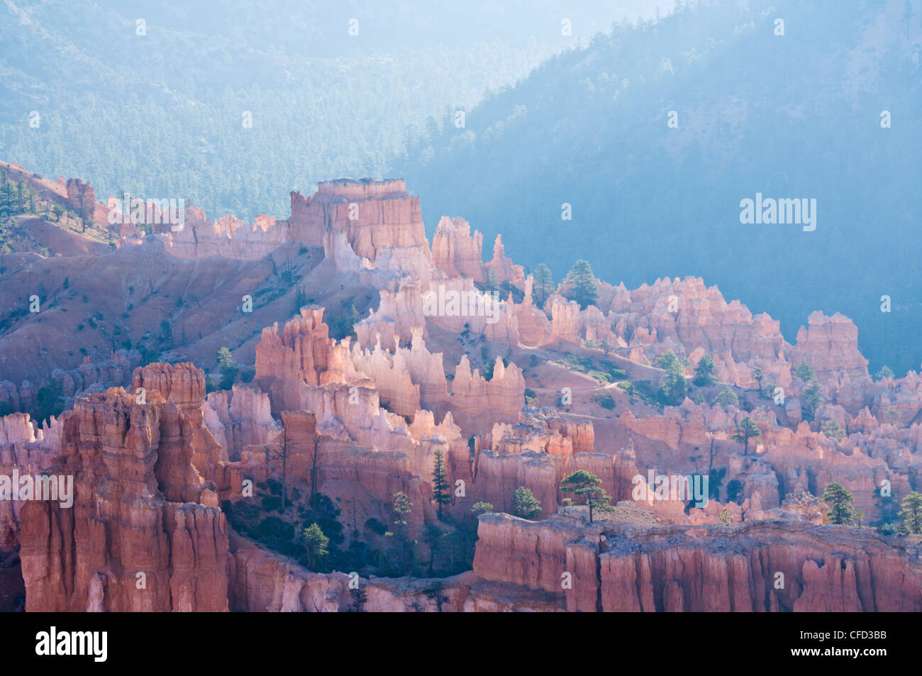 Backlit sandstone hoodoos in Bryce Amphitheater, Bryce Canyon National Park, Utah, United States of America, Stock Photo