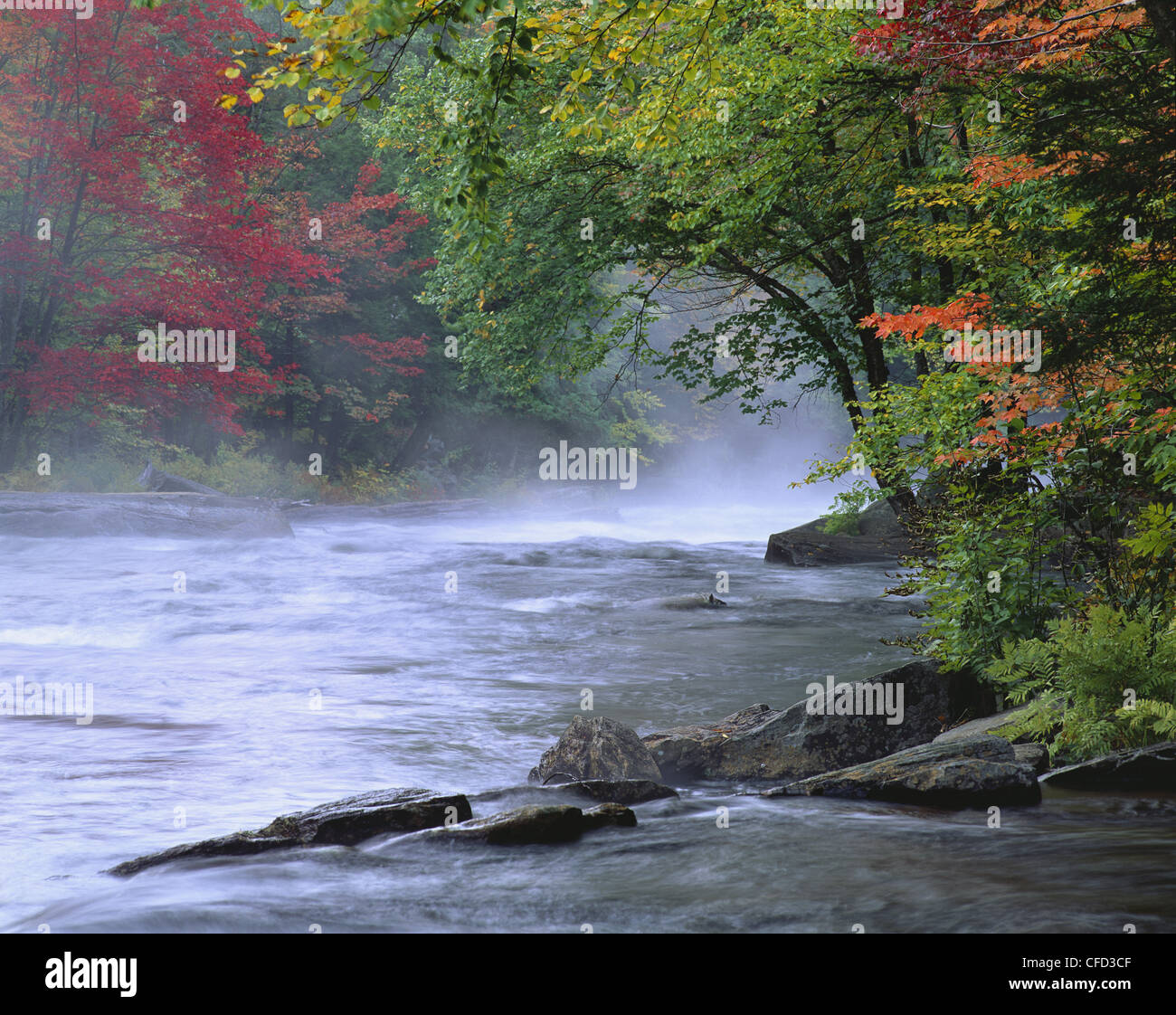 Oxtongue river hi-res stock photography and images - Alamy